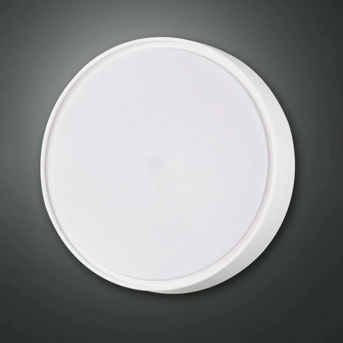applique_murale_hatton___cm_capteur__x_e_blanc_ip_0.webp New Fabas Luce Applique murale Hatton, Ø 30 cm, capteur, 2 x E27, blanc, IP65