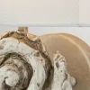Store Elstead Applique murale Swirl Large avec abat-jour en lin, blanc antique