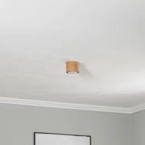 New Envostar Ernest downlight GX53 en bois, rond