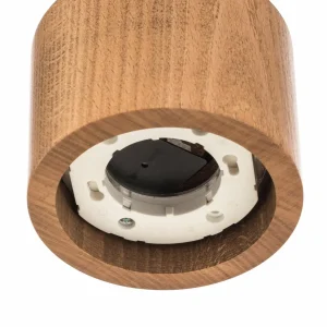 New Envostar Ernest downlight GX53 en bois, rond