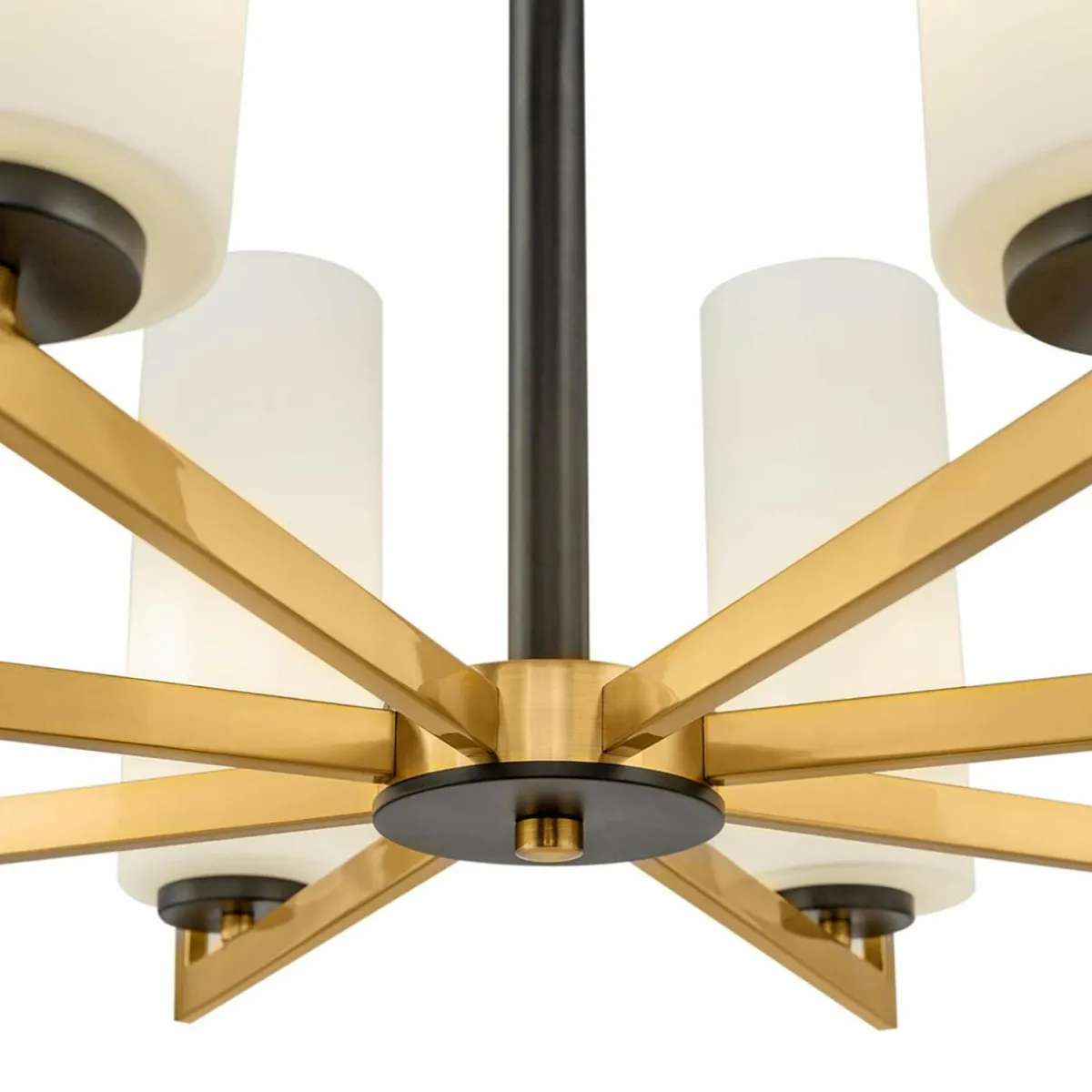 maytoni_fortano_lustre___lampes_abatjour_verre_1.webp Online Maytoni Fortano lustre à 8 lampes abat-jour verre