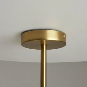 Online Maytoni plafonnier Tropic, laiton, 6 lampes, largeur 78 cm