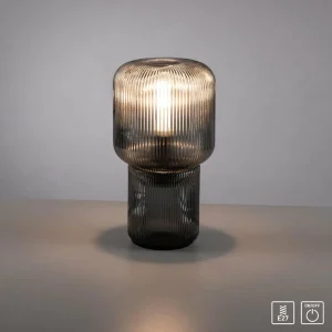 Best Paul Neuhaus lampe à poser Mashi, gris fumé, verre, 27 cm, E27