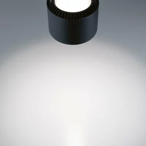 Store Paulmann URail Aldan suspension LED 4 000 K noire