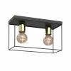 Best Luminex Plafonnier Anna avec cadre métallique, à 2 lampes