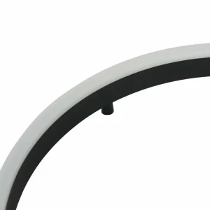 Outlet Steinhauer Plafonnier LED Mykty, noir, forme anneau, métal