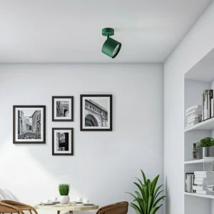 Shop Argon Spot pour plafond Chloe, réglable, vert, métal, GU10, 13,5 cm