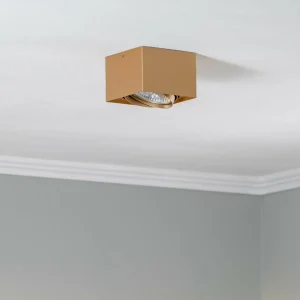 Discount Argon Spot pour plafond Riesta, doré, à 1 lampe