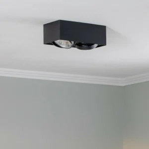 Online Argon Spot pour plafond Ronda à 2 lampes, noir
