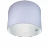 Discount Waldi-Leuchten GmbH Suspension Silhouette Nuage en gris
